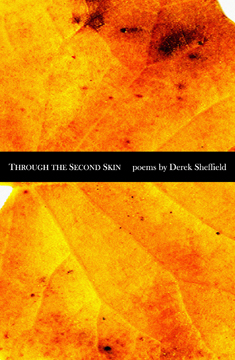 Through the Second Skin cover image