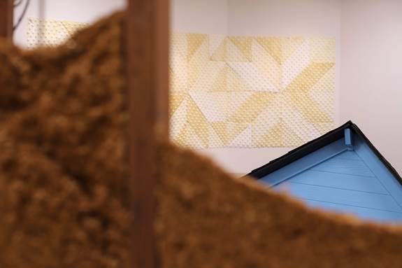 Image of Dotzauer's exhibit March 2020