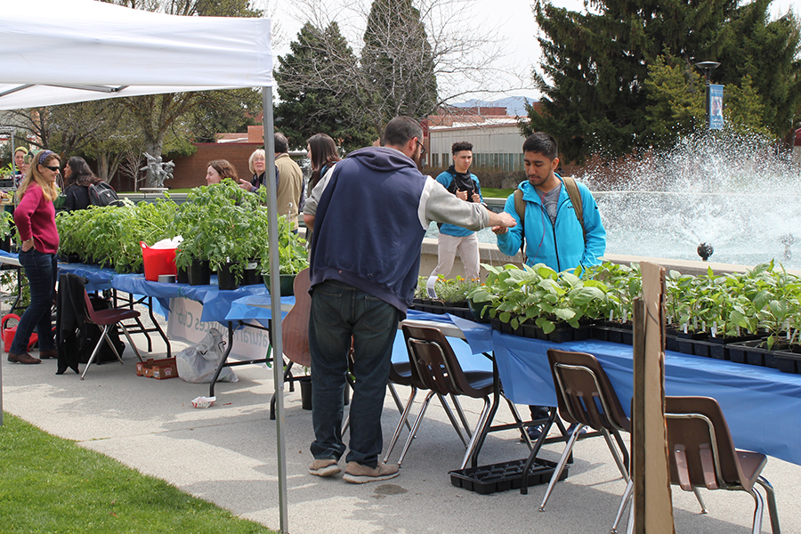 Earth Day Plant sale