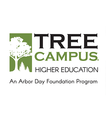 Arbor Day Foundation renews WVC Tree Campus Higher Education title