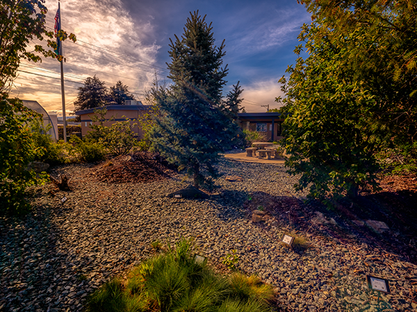 The WVC Omak campus native garden.